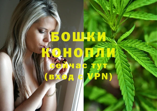 apvp Краснослободск