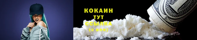 apvp Краснослободск
