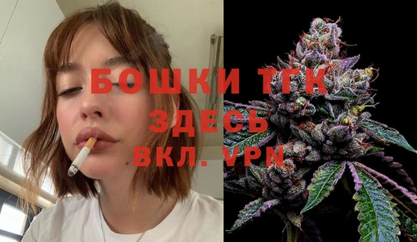 apvp Краснослободск