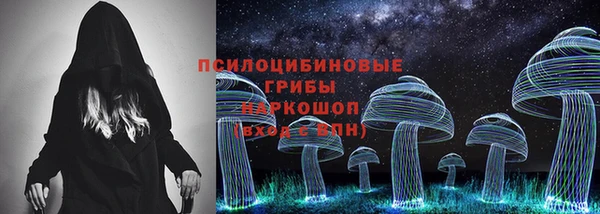 apvp Краснослободск