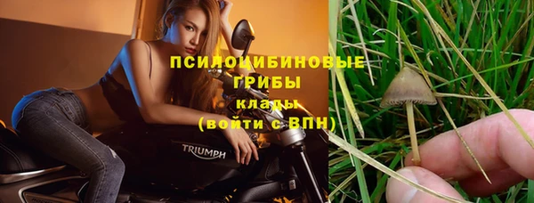 apvp Краснослободск