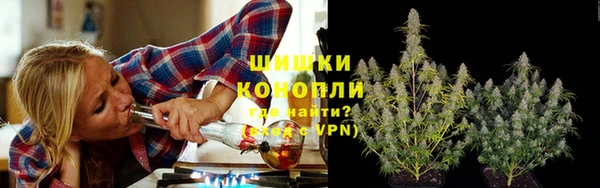 apvp Краснослободск