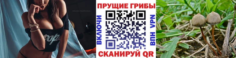 Галлюциногенные грибы MAGIC MUSHROOMS  гидра ONION  Юрюзань 